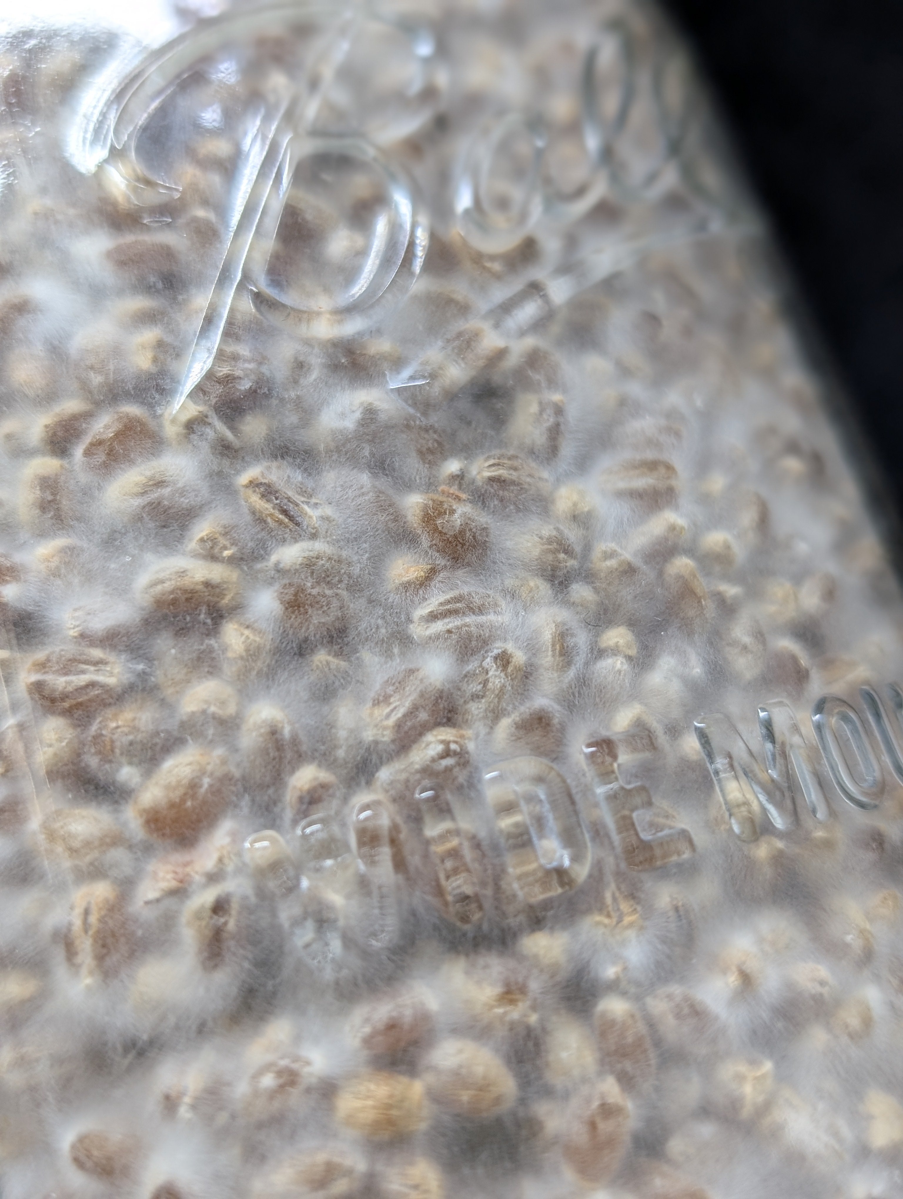 Colonized Grain